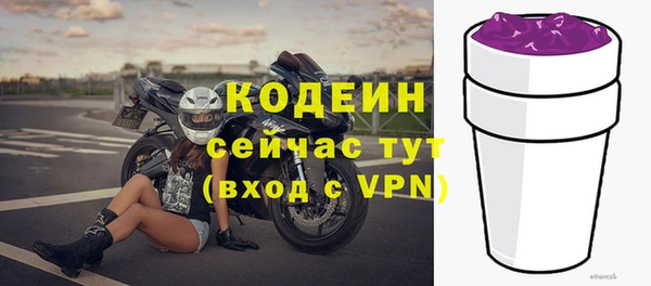 крисы Верхний Тагил