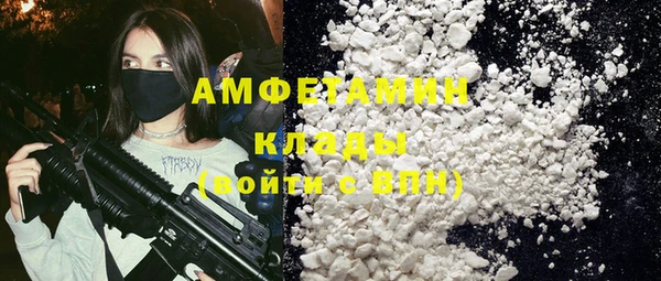 крисы Верхний Тагил