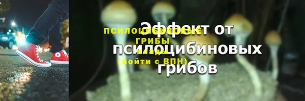 крисы Верхний Тагил