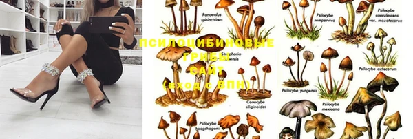 трава Верея