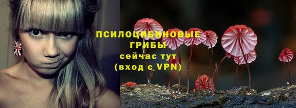 шишки Верхнеуральск
