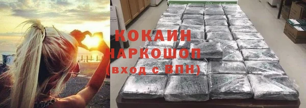 трава Верея
